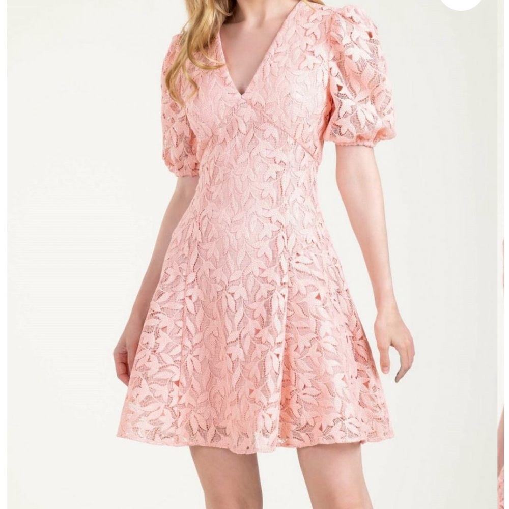 NWT Shoshanna Alize Leaf Dress in Dark Blush